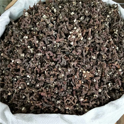 拐枣多少钱一斤 中药材拐枣哪里能买到