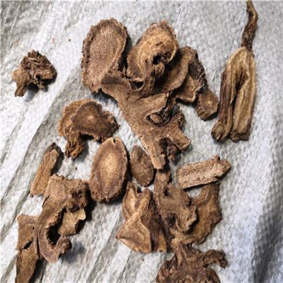 广木香哪里能买到 广木香批发零售