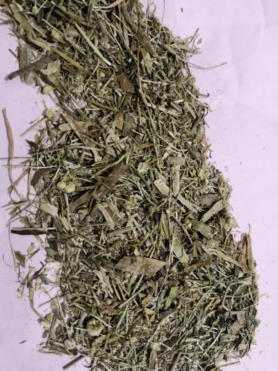 中药材谷精草哪里能买到 谷精草批发零售
