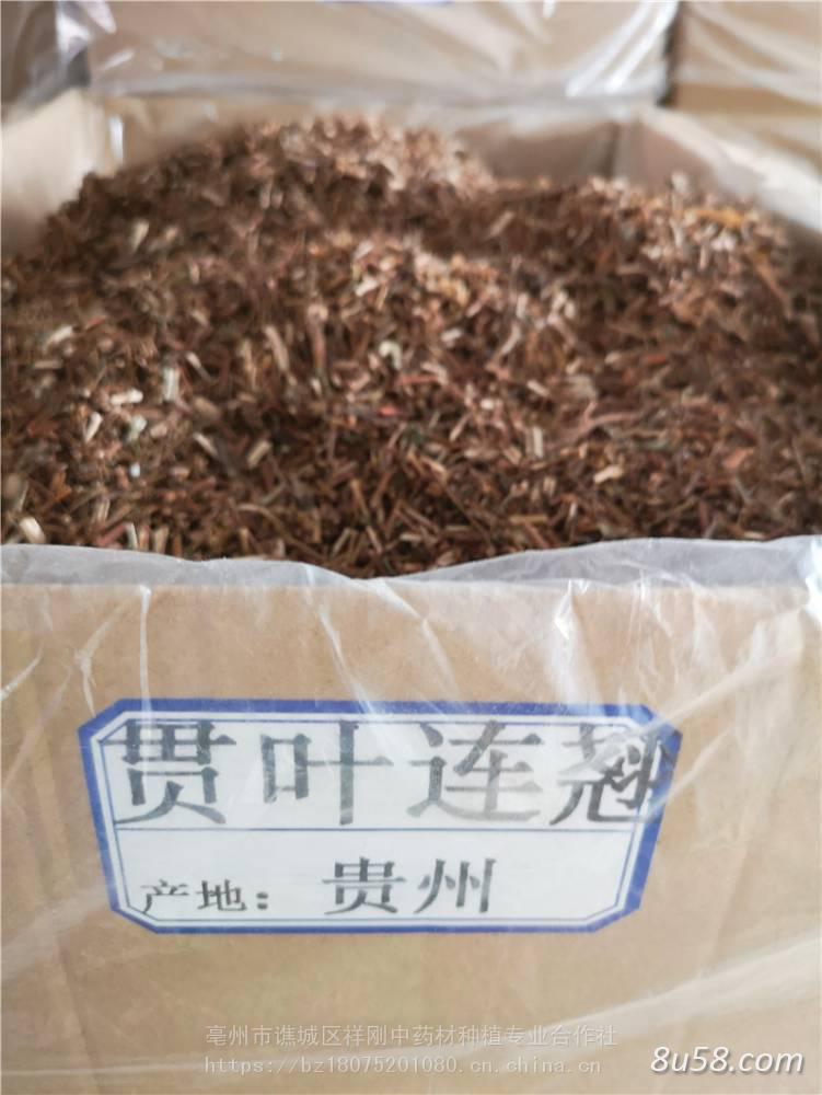 贯叶连翘哪里有卖 贯叶连翘批发零售