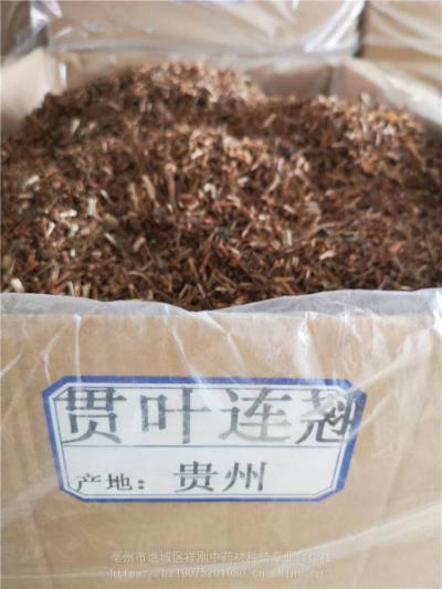 贯叶连翘哪里有卖 贯叶连翘批发零售