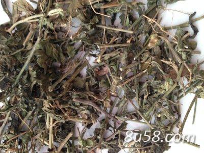 狗肝菜多少钱一斤 狗肝菜每日报价