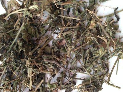 狗肝菜多少钱一斤 狗肝菜每日报价