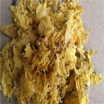 黄蜀葵花哪里能买到 黄蜀葵花多少钱一斤