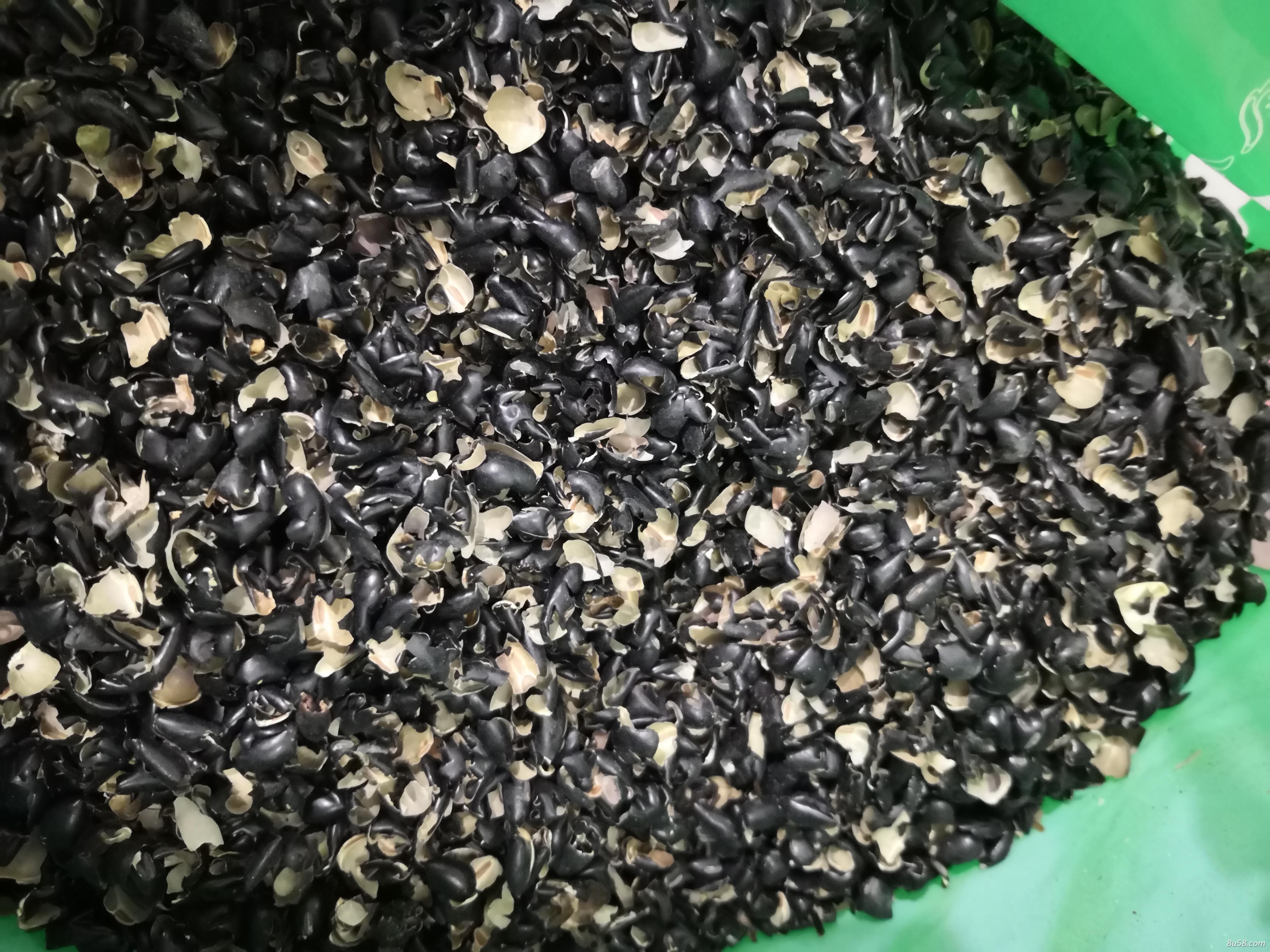 中药材黑豆皮批发零售 黑豆皮哪里有卖