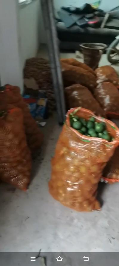 出售枳壳
