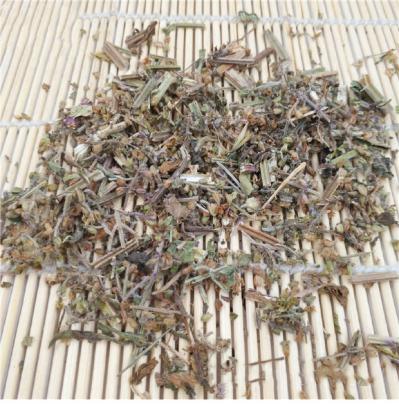 蛤蟆草的功效 蛤蟆草多少钱一斤