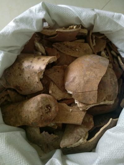 葫芦壳有什么功效 葫芦壳多少钱一斤
