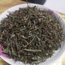 韩信草哪里能买到 中药材狠心草批发零售