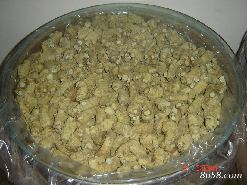 东北特产 西洋参 西洋参片