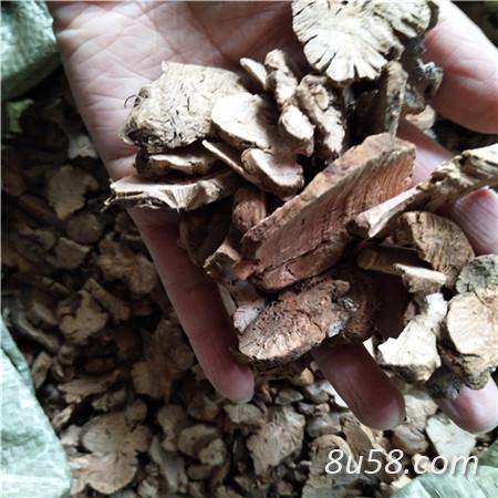 金荞麦哪里有卖 安国药材批发市场