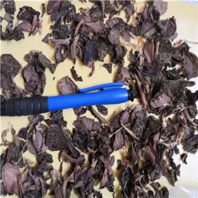 金线莲多少钱一斤 中药材金线莲哪里有卖