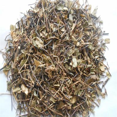 鸡骨草哪里有卖 中药材鸡骨草供应