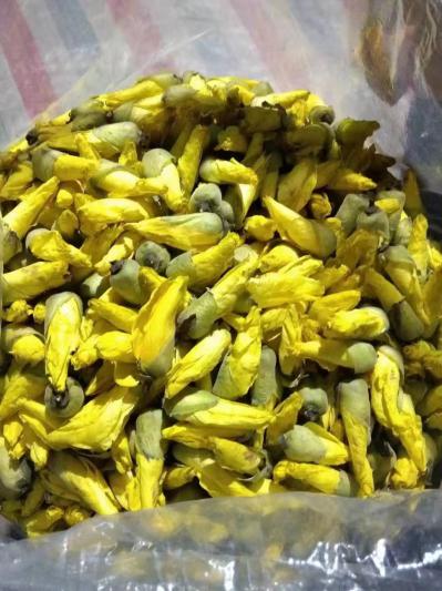 中药材金花葵哪里有卖 金花葵批发零售
