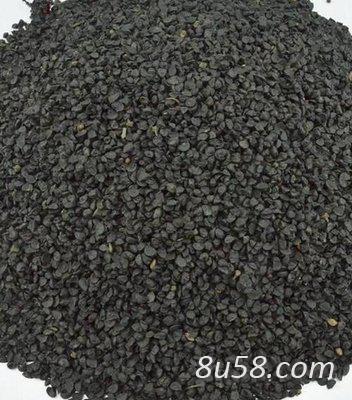 药用韭菜籽批发零售 荠菜子2022价格