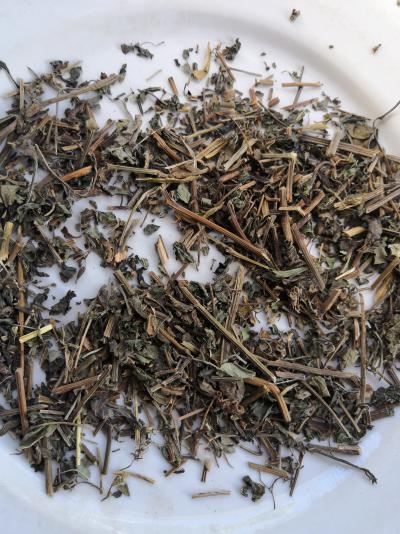 绞股蓝哪里有卖 中药材绞股蓝批发零售