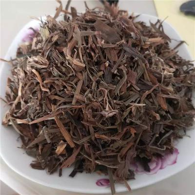 吉祥草哪里有卖 吉祥草2022价格