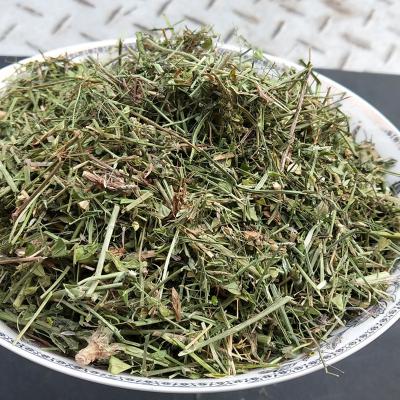 中药材荠菜花哪里有卖 荠菜花网购地址