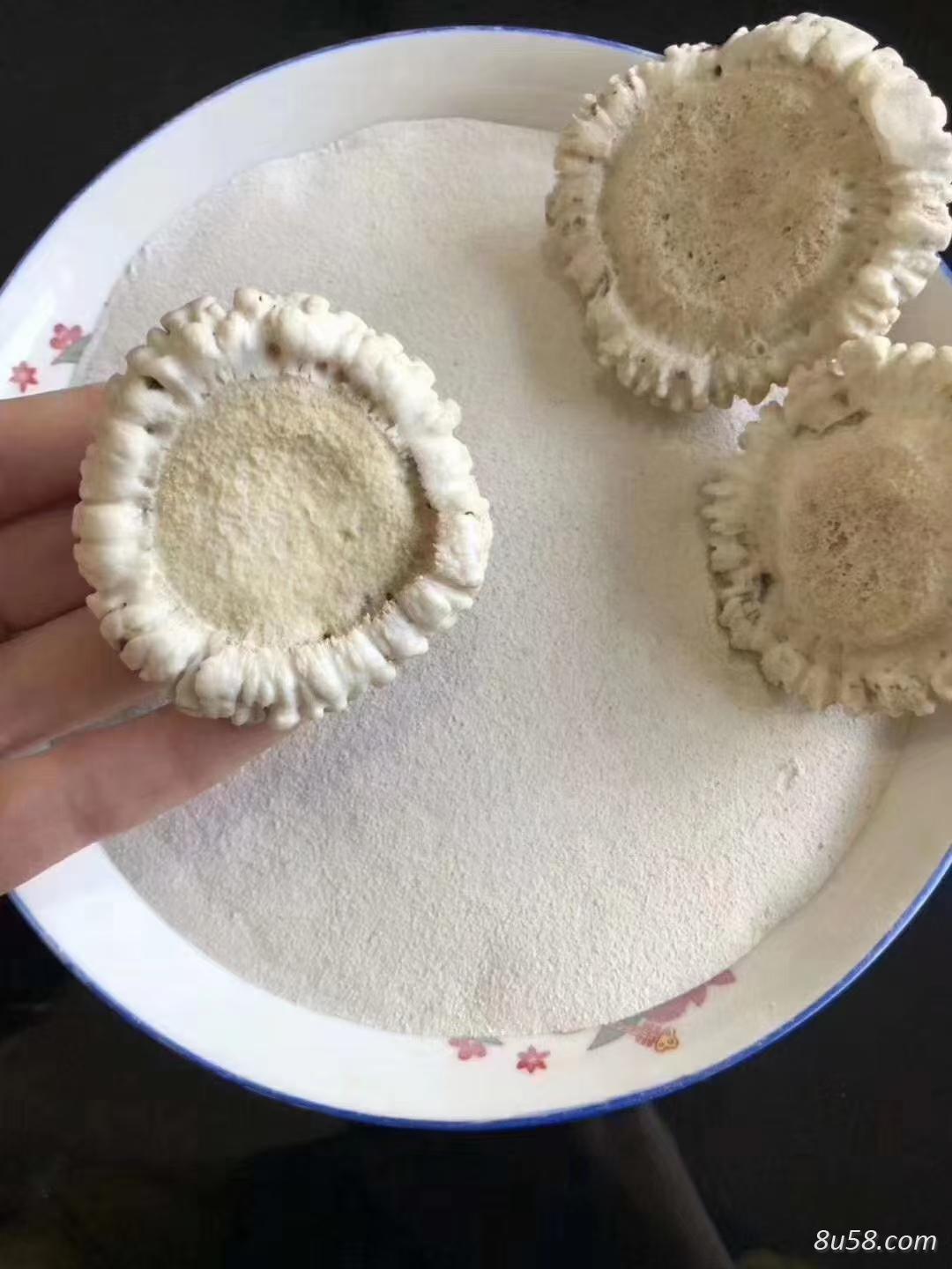 鹿托盘，鹿角冒，鹿茸粉，鹿角冒粉多少钱，大量批发