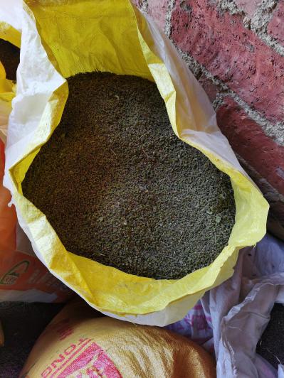 吴茱萸大量有货