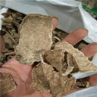 中药材金不换批发零售 金不换多少钱一斤