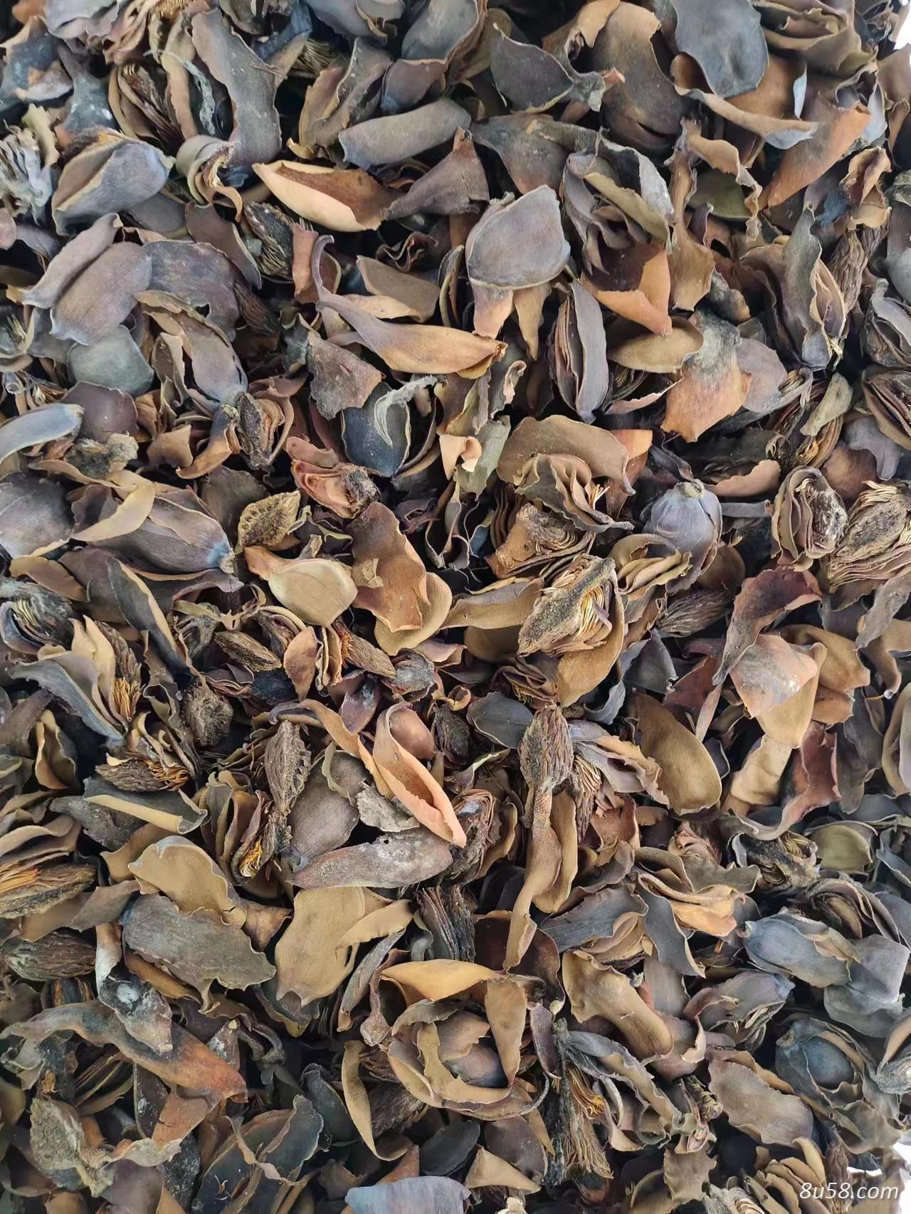 厚朴花产地直销量大价优现货批发