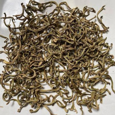 苦中药材丁香哪里能买到 苦丁香供应电话