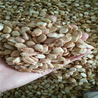 苦瓜籽哪里能买到 苦瓜籽批发零售
