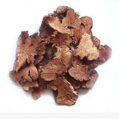 中药材苦荞根哪里有卖 苦荞根2022行情