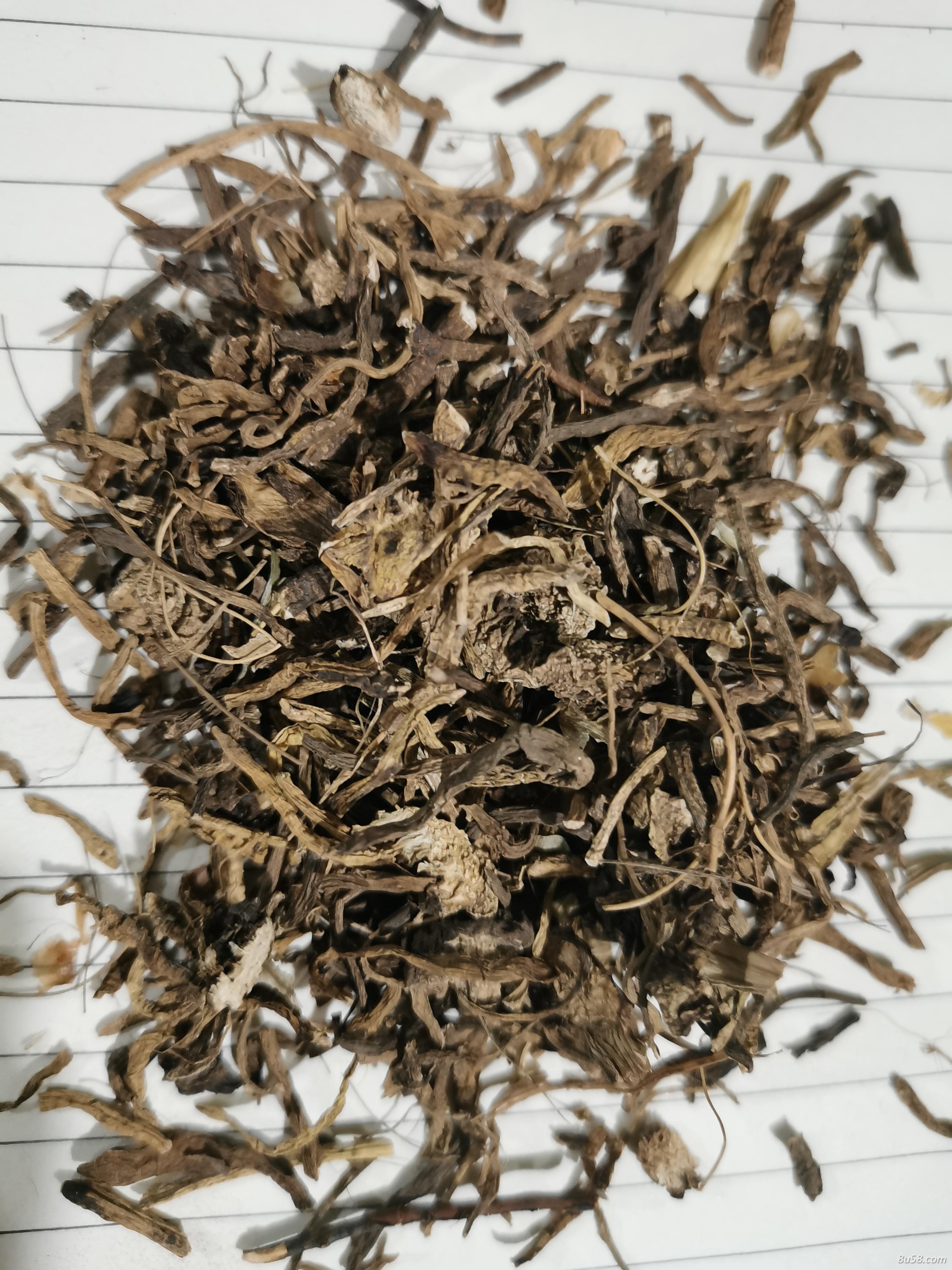 中药材藜芦哪里能买到 藜芦的功效作用