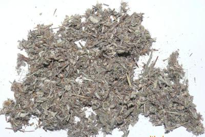 中药材老头草批发零售 老头草多少钱一斤