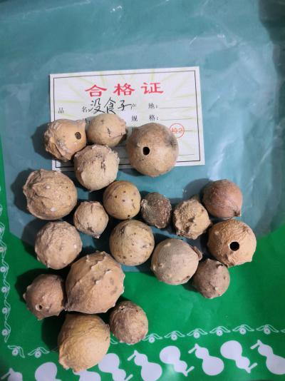中药材没食子哪里有供应 没食子批发零售