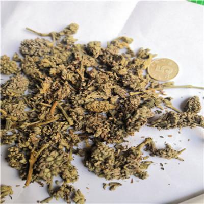 中药材密蒙花批发零售 密蒙花哪里能买到