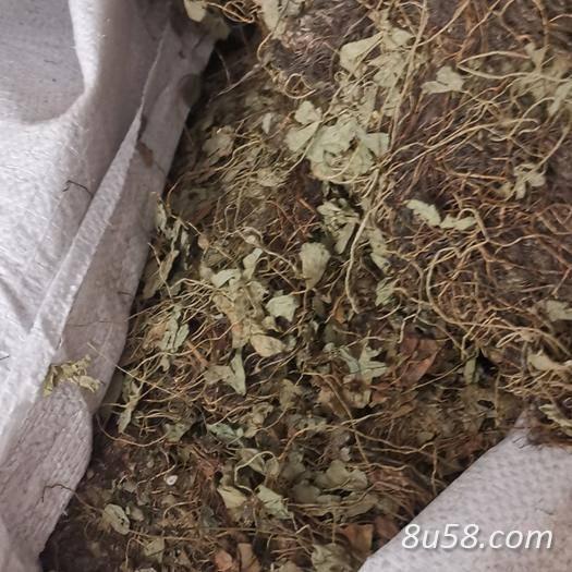 中药材苜蓿草批发零售 苜蓿草2022价格
