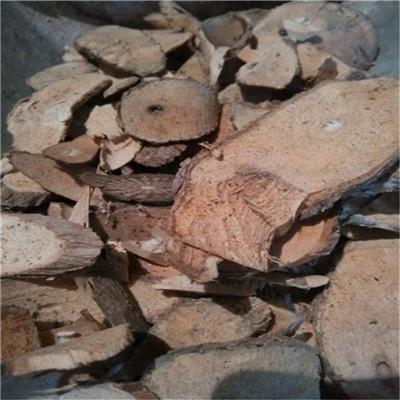 中药材猫人参哪里有卖 猫人参怎么用