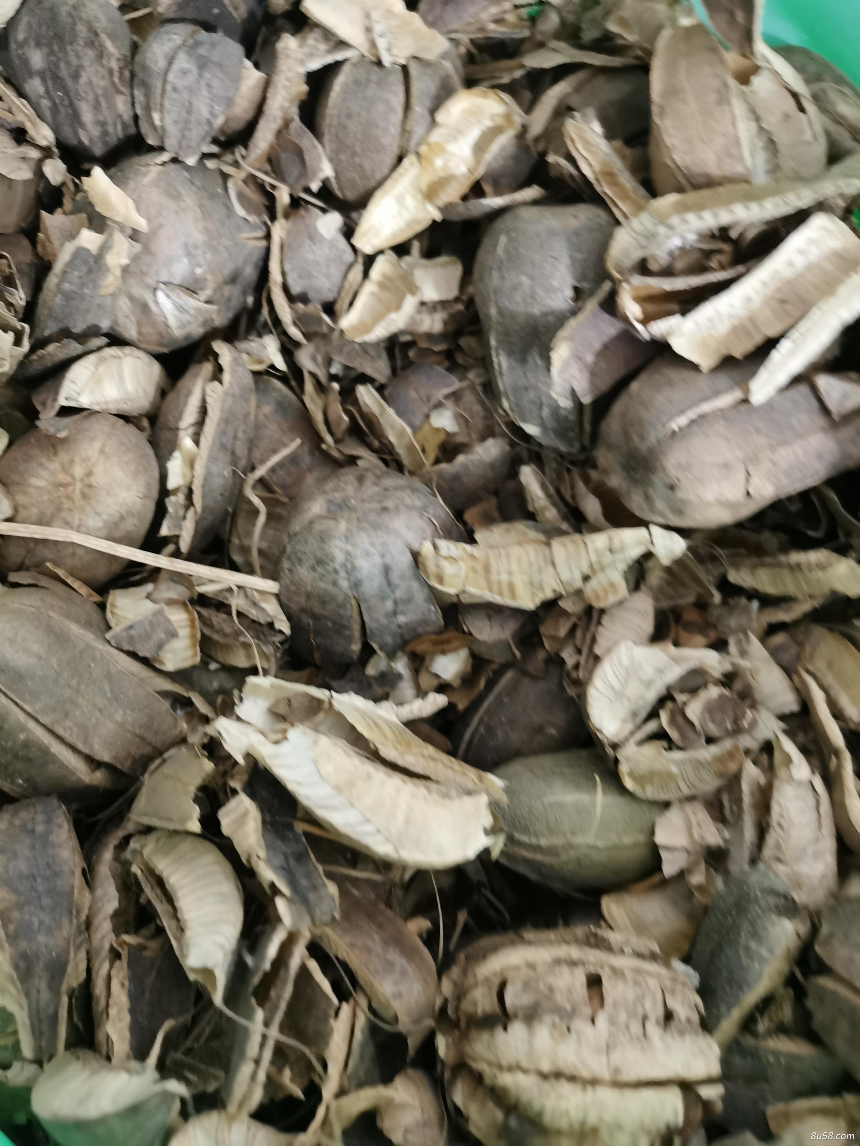 马兜铃是什么 中药材马兜铃有什么作用
