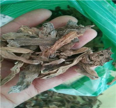 曼陀罗花别名 曼陀罗花有什么作用