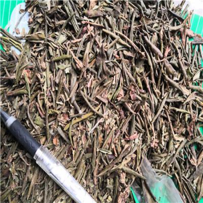 毛大丁哪里能买到 毛大丁批发零售