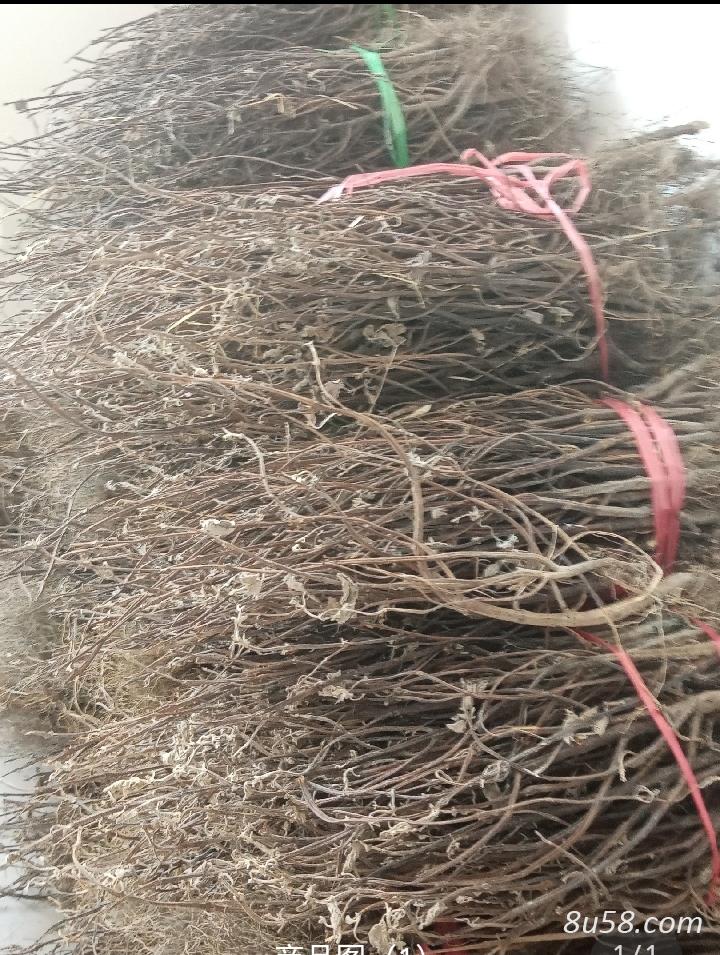 香排草