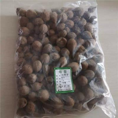毛柯子多少钱 毛柯子大货供应