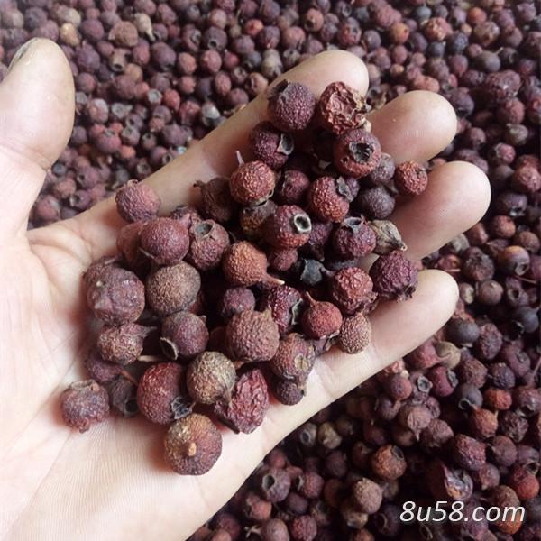 南山楂批发零售 南山楂哪里有卖
