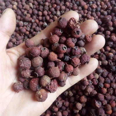 南山楂批发零售 南山楂哪里有卖