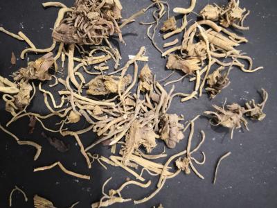 牛尾菜哪里哟买 牛尾菜的功效