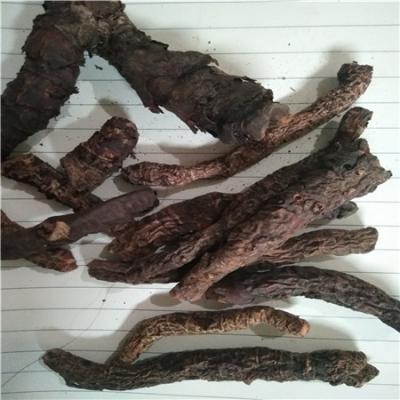盘龙七2022最近行情 盘龙七多少钱一斤