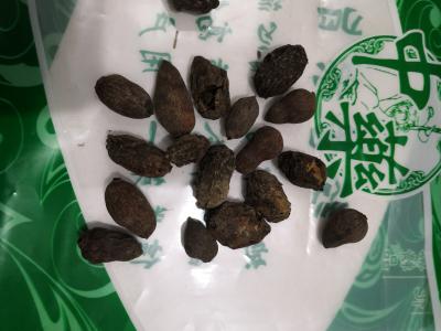 中药材蒲桃哪里能买到 蒲桃每日报价