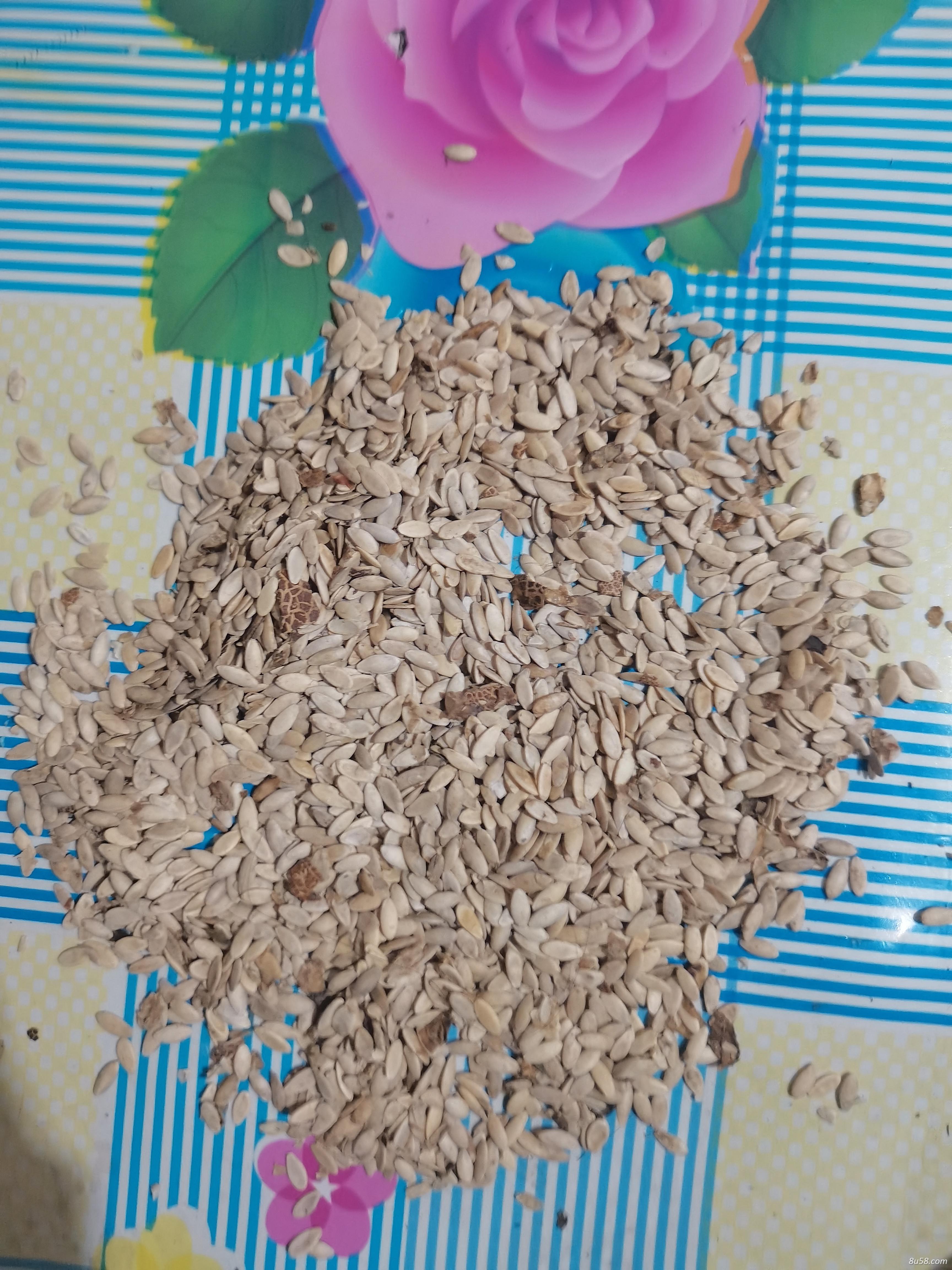 有要黄瓜籽的，电话联系