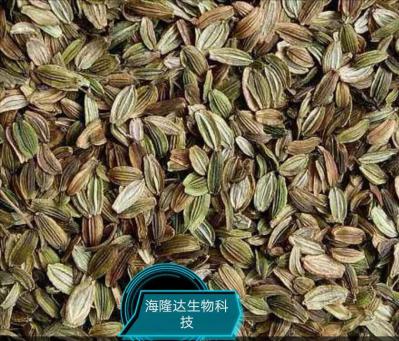出售明日叶种子