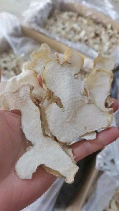 黄精生片