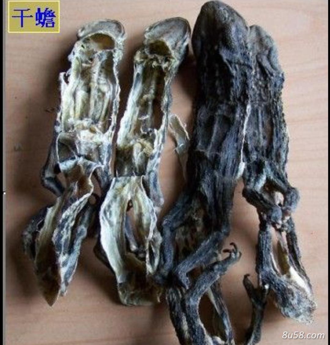 供应干蟾 癞蛤蟆干