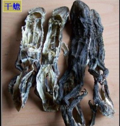 供应干蟾 癞蛤蟆干